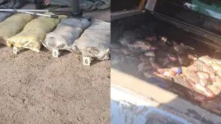 Павлодар облысында тұрғын заңсыз 300 келіге жуық балық аулаған