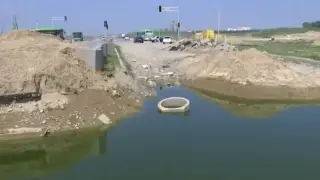 Қара жігіт етін жалайды (порно)