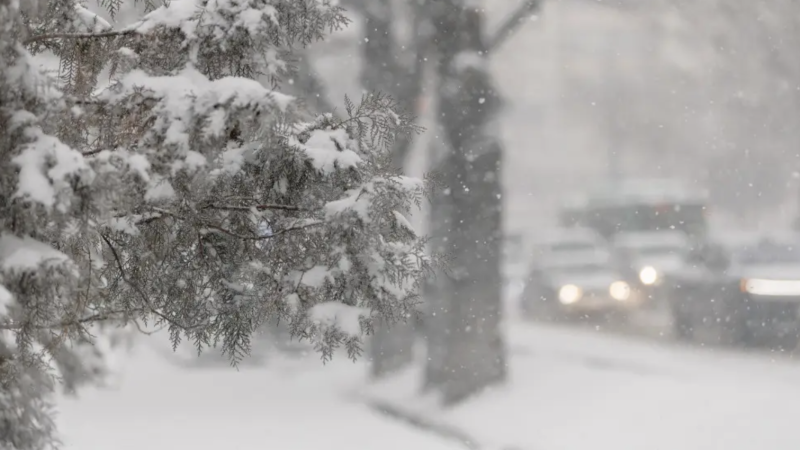 Фото:depositphotos.com