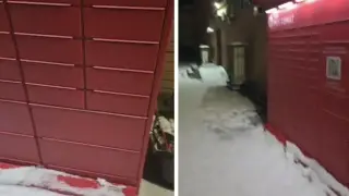 Әйел мысықты сорып жатыр