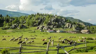 Тоқаев кәсіпкерлерді өз ауыл-аймағының өркендеуіне үлес қосуға шақырды