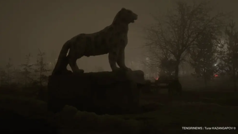 Фото ©️ Tengrinews.kz / Тұрар Қазангапов