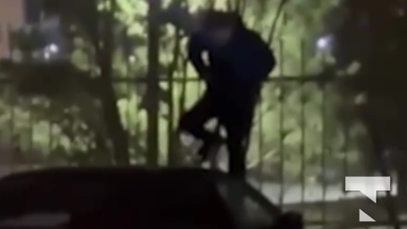 видео кадры