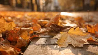 Қазақстанда алдағы күндері ауа райы қандай болады?