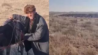 Жамбыл облысында қойшы қалың тұманда үш күн бойы адасып жүрген