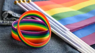 Қазақстанда ЛГБТ-ны насихаттауға тыйым салатын заң жыл аяғына дейін қарастырылады - Сенат