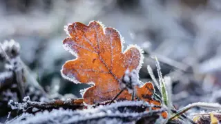 Жаңбыр аралас қар мен көктайғақ: сенбіде ауа райы қандай болады?