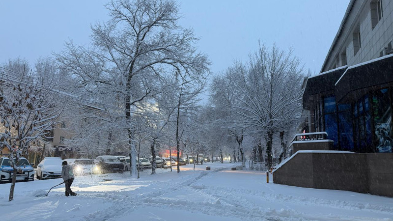 Фото ©️ Tengrinews.kz