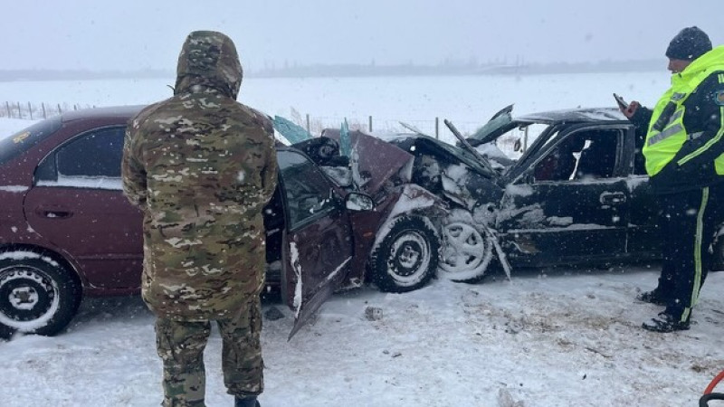 instagram/taldykorganec.insta_