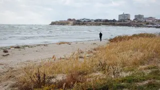 Тоқаев Каспий теңізі тартыла берсе салдары ауыр болуы мүмкін екенін ескертті