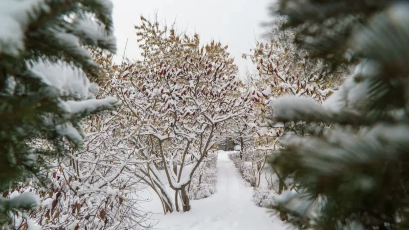 //$item->getThumbAlt()