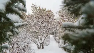 Күн жылиды: 13 желтоқсанда ауа райы қандай болады?