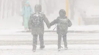 Астанада екінші ауысымдағы оқушылар қашықтан оқуға жіберілді