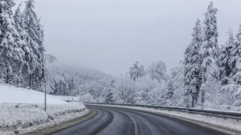 Фото:depositphotos.com