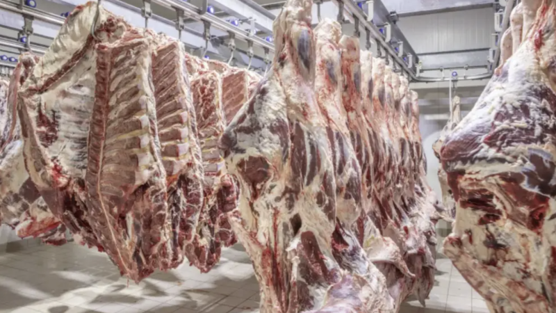 Фото:depositphotos.com