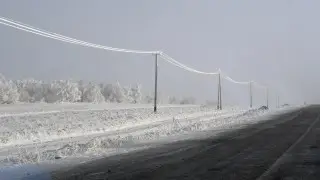 Қар, көктайғақ және боран: 19 желтоқсанда ауа райы қандай болады?