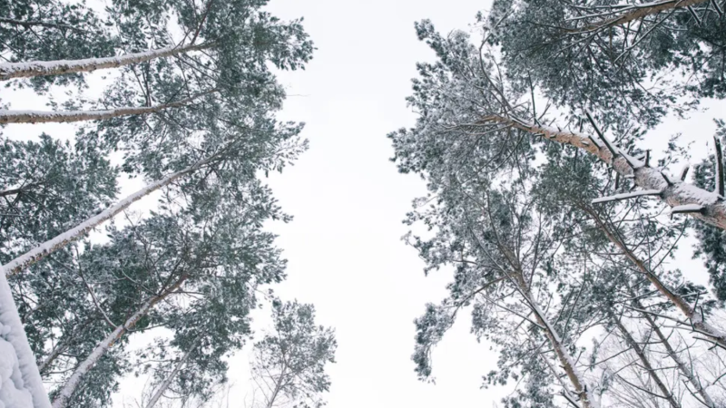 Фото:depositphotos.com