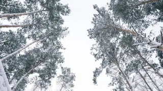 Аяз бен қар: жексенбіде ауа райы қандай болады?