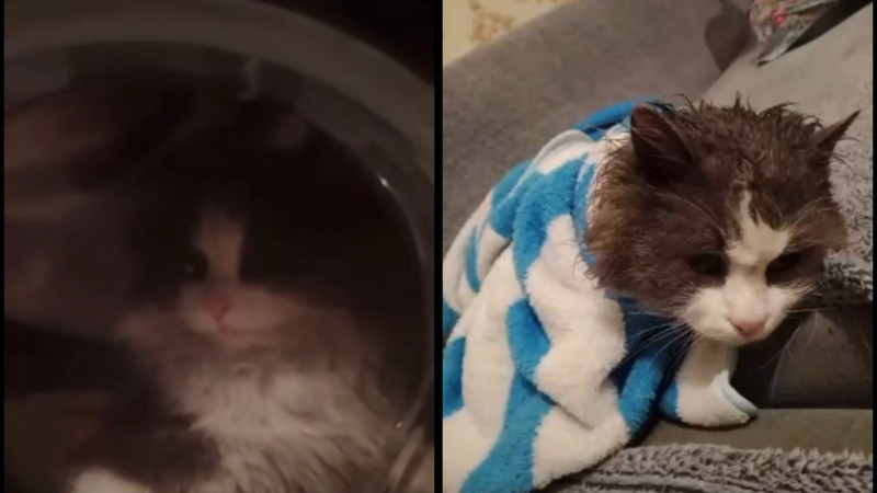 Threads/@juldyzmurzabaeva