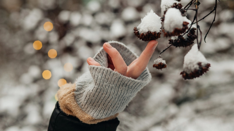 Фото:depositphotos.com