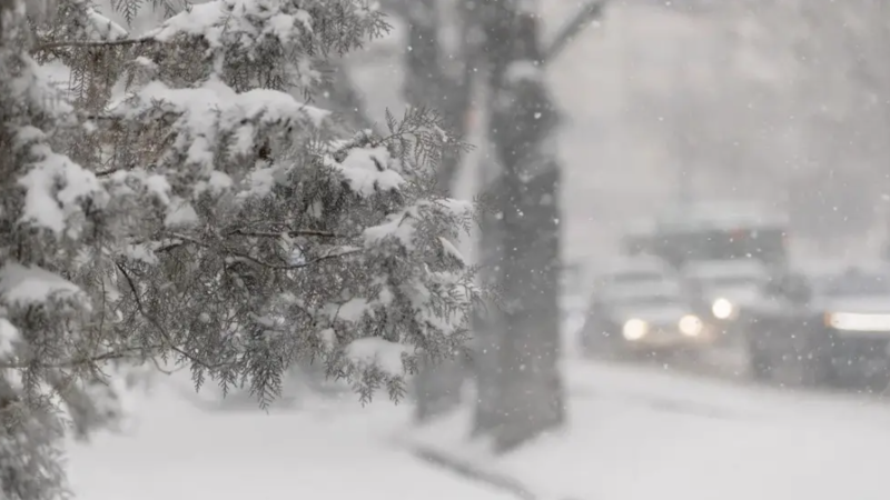 Фото © Tengrinews.kz / Тұрар Қазанғапов