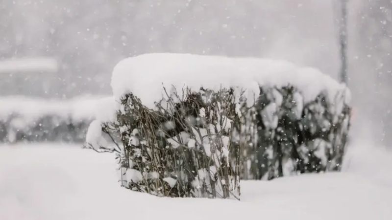 Фото:depositphotos.com