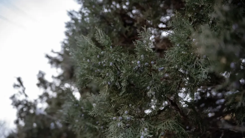 Фото:depositphotos.com