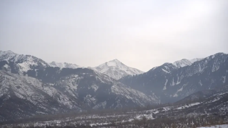 Фото:depositphotos.com