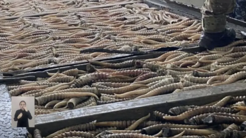 Видео кадры