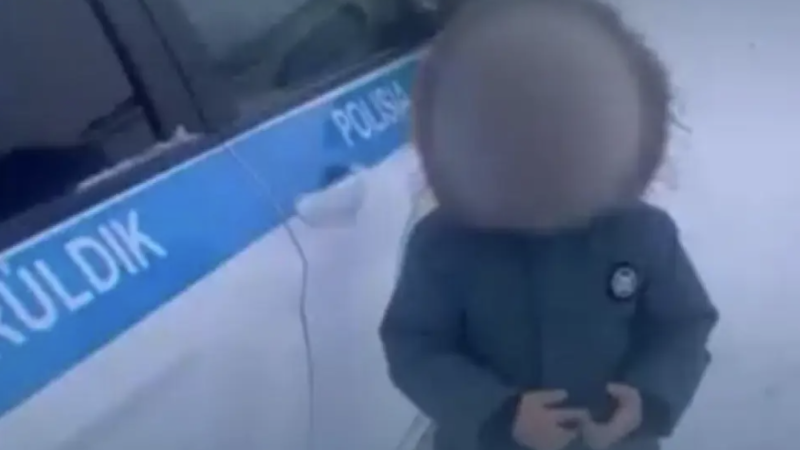 Видео кадры