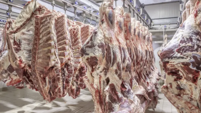 Фото:depositphotos.com