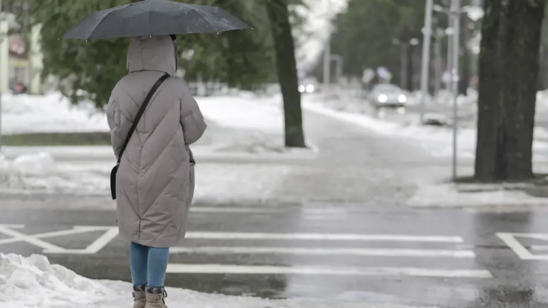 Фото:depositphotos.com