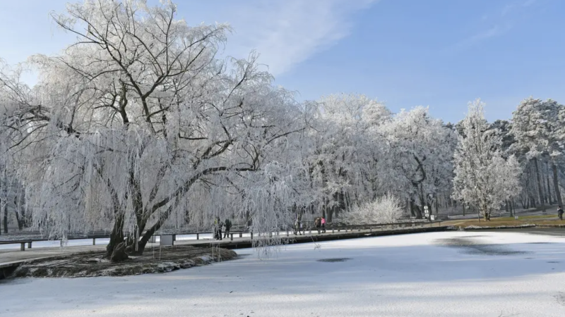 Фото:depositphotos.com