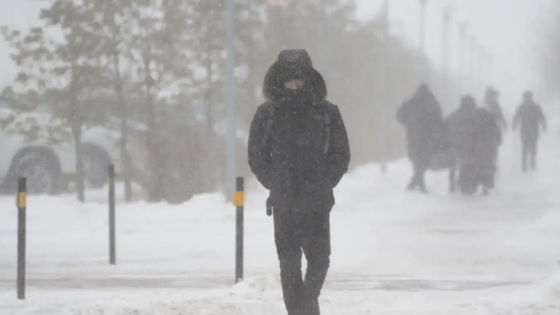 Фото © Tengrinews.kz / Маржан Қуандықова