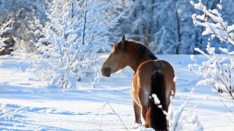 Фото:depositphotos.com