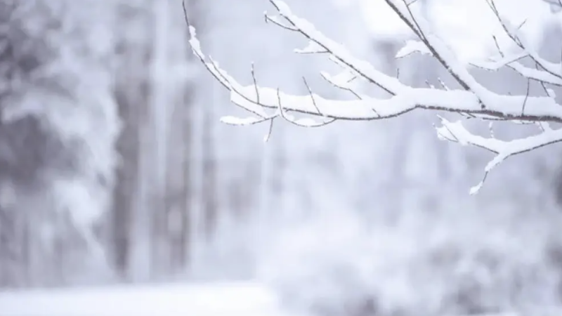 Фото:depositphotos.com