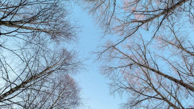 Фото:depositphotos.com