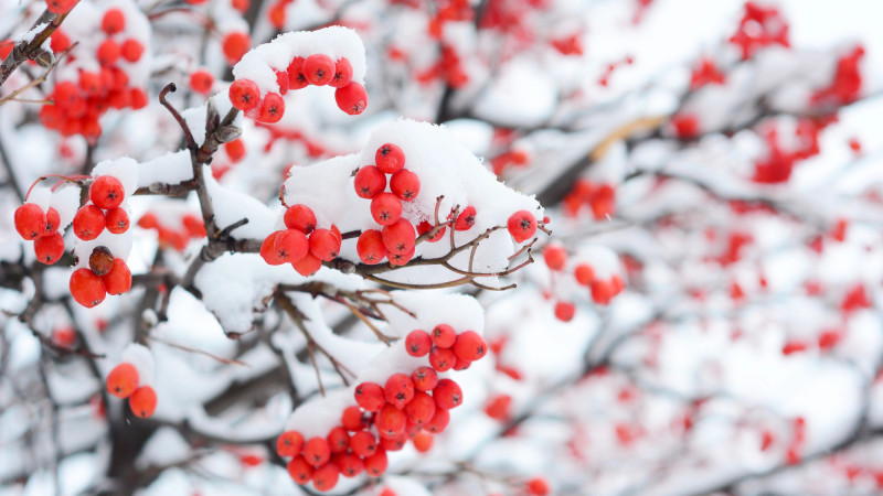 Фото:depositphotos.com