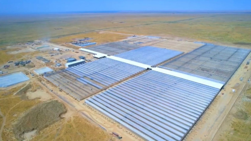 Фото: Түркістан облысы әкімінің баспасөз қызметі