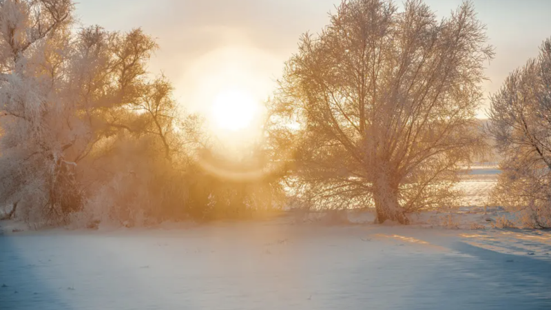 Фото:depositphotos.com