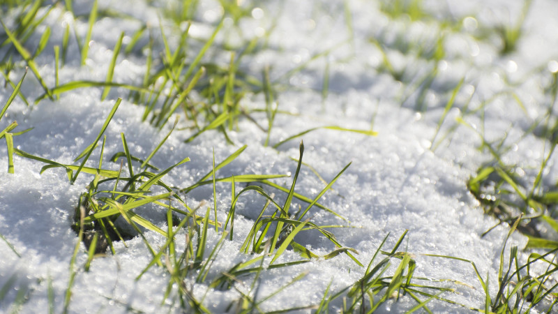 Фото:depositphotos.com