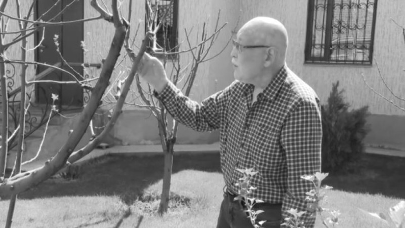 Видео кадры