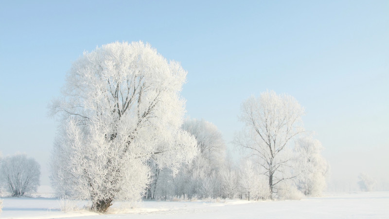 Фото:depositphotos.com