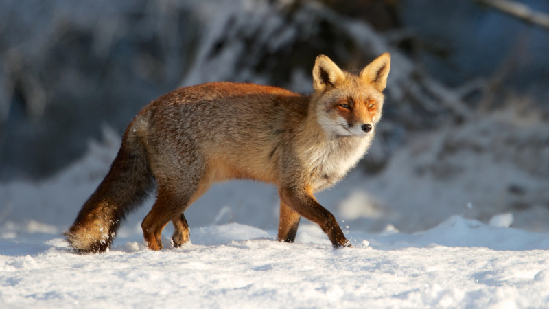 Фото:depositphotos.com