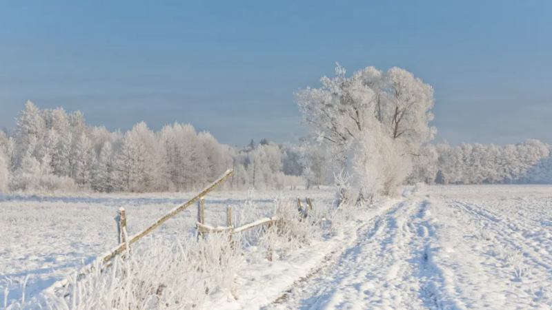 Фото:depositphotos.com