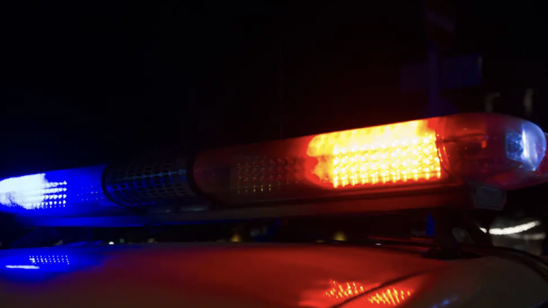 Фото:depositphotos.com