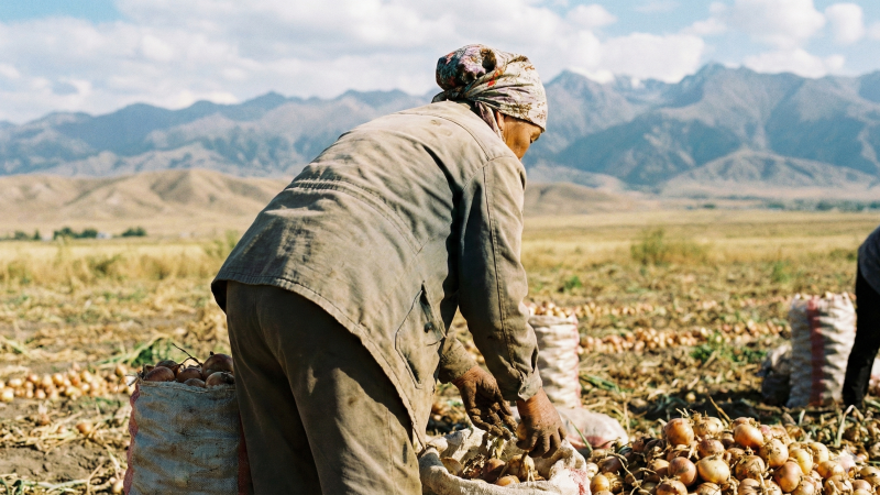 Нейрожелі арқылы жасалған сурет