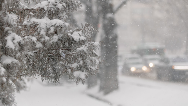 Фото © Tengrinews.kz / Әлихан Сәриев