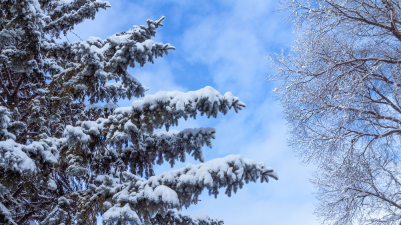 Фото:depositphotos.com