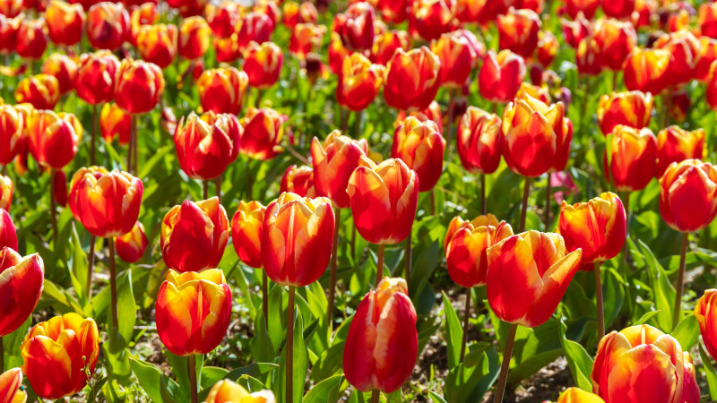 Фото:depositphotos.com